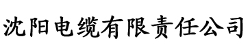 久久亚洲精品无码观看不电缆厂logo